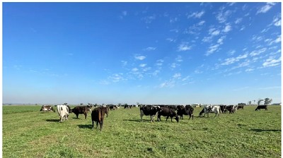 Encuesta SEA: optimismo en los tamberos CREA