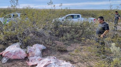 Barrera sanitaria patagónica: Detectan mercadería no apta para el consumo