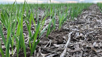 Se aprobó el nuevo procedimiento para el registro de productos fertilizantes