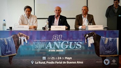 Bustillo: “La Expo de Otoño es una muestra donde toda la cadena productiva Angus va a estar presente”
