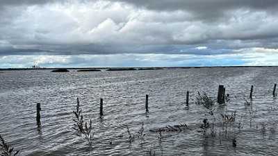 Se esperan pérdidas en arroz y soja por inundaciones