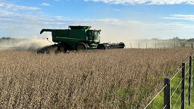 Entre ventanas, avanza la cosecha de soja