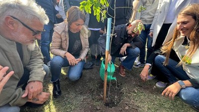 John Deere va a plantar 1 millón de árboles antes de 2030 (100 de esos ya están en el Kempes): cómo siguen los planes y las inversiones en Argentina