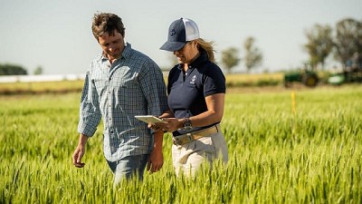 Gracias a una mejora en la ecuación financiera, “la campaña de trigo es esperanzadora”