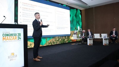 La estrategia de inserción internacional de la Argentina en un mundo con la OMC débil y un Mercosur para aggiornar