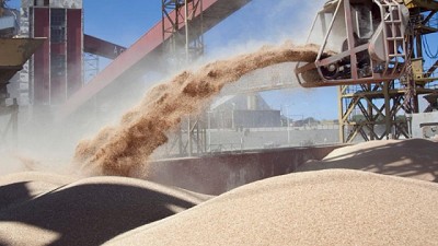 Se inicia inscripción para exportadores de granos de cebada, soja, sorgo y maíz a China