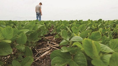 Agrofina, la unidad de protección de cultivos del Grupo Los Grobo, obtuvo una nueva patente de herbicida: el FLOSIL 50 