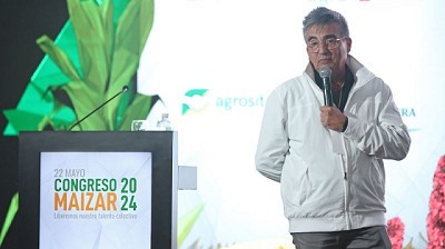 ¿Cómo hace para convivir con la chicharrita Brasil, el segundo mayor productor de maíz del mundo?