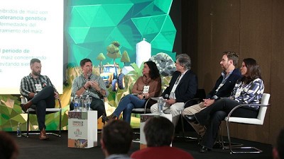 Spiroplasma: la tormenta perfecta de la campaña 2023/24 no se repetirá. 