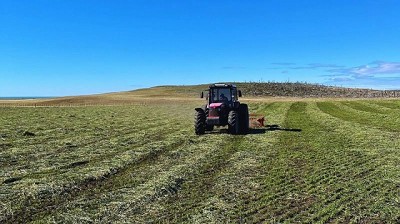 Prácticas para llevar adelante un plan forrajero en zonas climáticas extremas