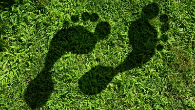 Cómo disminuir la huella de carbono en la agricultura