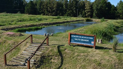 En Entre Ríos, se consolida la producción de peces
