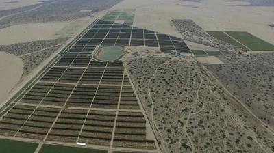 Perú pondrá en producción 200.000 hectáreas de desierto