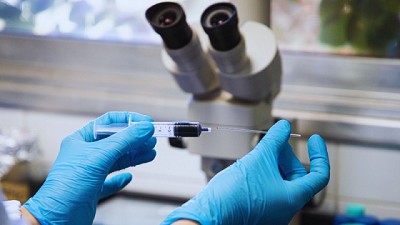 Desarrollan un test para el diagnóstico rápido de la tristeza bovina