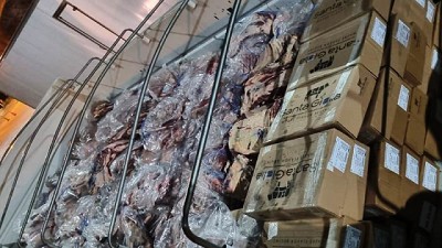 Se detectó un transporte ilegal de 7.800 kilogramos de carne bovina en Río Negro