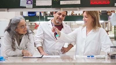 Científicos de la UNLP rediseñan la fotosíntesis para mejorar el rendimiento de los cultivos