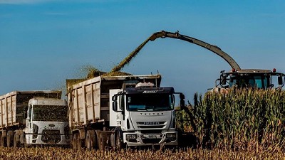 En pleno corazón lechero, KWS presentó sus híbridos para producir más leche