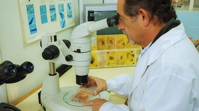 Estudian alternativas naturales para el control de parásitos internos