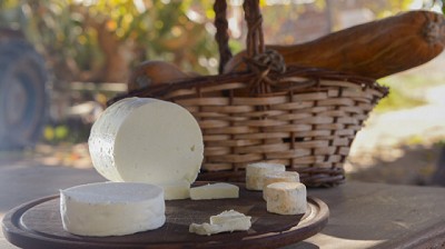 El Gobierno Nacional prorroga la quita de retenciones para la exportación de productos lácteos