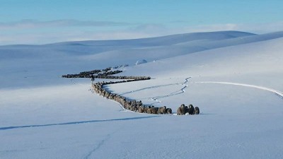 Mas del 60% de la superficie de Santa Cruz está cubierta de nieve