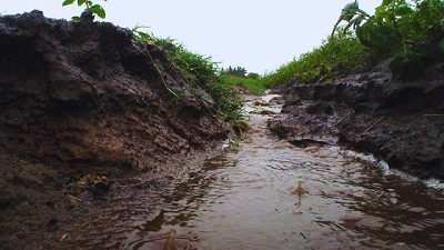 Presentan una herramienta para calcular la pérdida de suelo por erosión