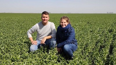 Camelina, “un cultivo versátil que se adapta a diversos planteos productivos”, dicen los especialistas