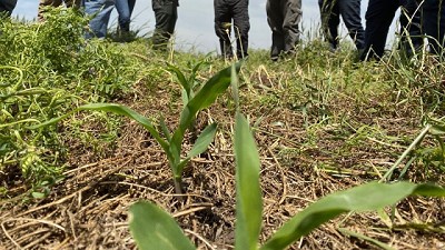 De productores para productores: Aapresid publicó un manual de prácticas para la agricultura regenerativa