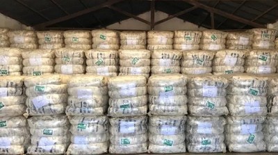 Hacen gestiones por mayor incentivo fiscal para lanas