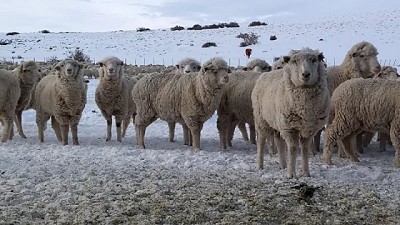 La Patagonia helada, rigor polar, y lento proceso de reconstrucción de precipitaciones
