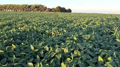 Trazabilidad: una herramienta de la agricultura digital que gana terreno
