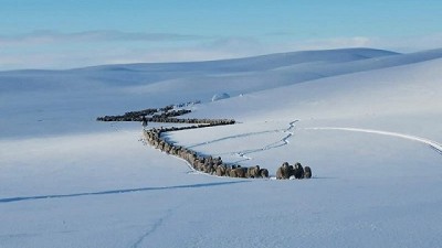 CRA junto a FIAS dispusieron la apertura de una cuenta bancaria para recibir donaciones destinadas a los productores santacruceños