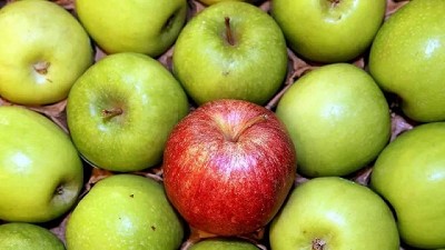 ¿Hacia dónde va la fruticultura del Alto Valle? Prospectivas