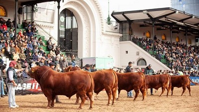 La Agenda de la raza Limangus en la Expo Rural 24