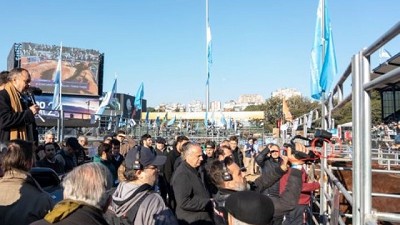 En Palermo, los novillos marcan la tendencia del mercado y la genética de la producción de carne