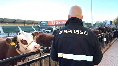 Control sanitario a los animales que ingresan a la Exposición Rural en Palermo