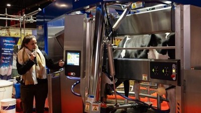 La última tecnología de ordeñe voluntario de vacas