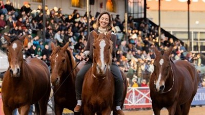 “Horsemanship”, el adiestramiento equino basado en el respeto y la empatía