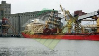 ¿Qué empresas lideran el ranking de agroexportadores en el primer semestre 2024?