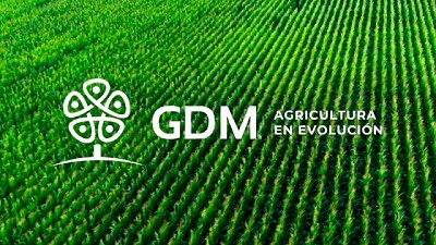 GDM inicia el proceso formal de integración de los activos de maíz de KWS en Sudamérica