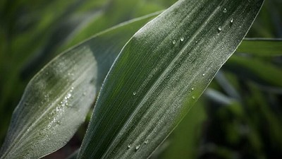 Yara amplifica su compromiso con la sustentabilidad