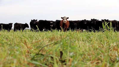 El Gobierno elimina derechos de exportación en productos agroindustriales para fortalecer la competitividad del campo