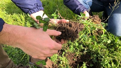 INTA-Aapresid: una alianza basada en la innovación colaborativa