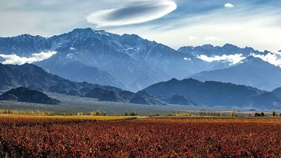 Wines of Argentina se une al agro para potenciar la promoción del Vino Argentino