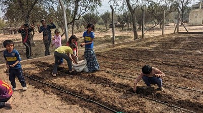 Salta pone en marcha el proyecto Huertas Escolares