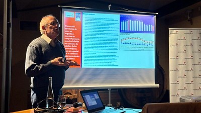 La Vitivinicultura argentina en los mercados internacionales: la oportunidad de cambio ante la crisis