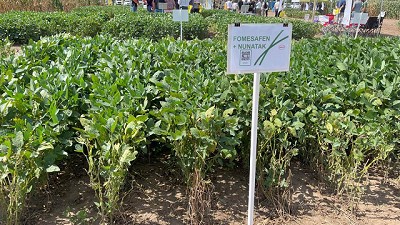 Argentina tendra el primer recuperador y bioestimulante para cultivos dañados por estres abiótico 