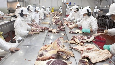 Salta se suma al estatus sanitario único para los frigoríficos argentinos