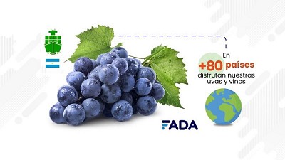 Exportaciones Agroindustriales: qué vendemos, a dónde, cuánto y mucho más