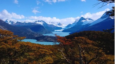 Publican un mapa con los tipos de árboles que integran los bosques de la Argentina
