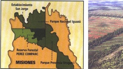 La huella de Carlos Pérez Companc en reforestación y conservación del bosque nativo